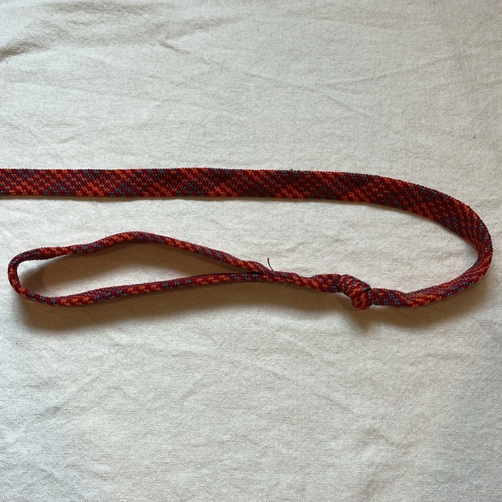 Tall Tails Dog Leash